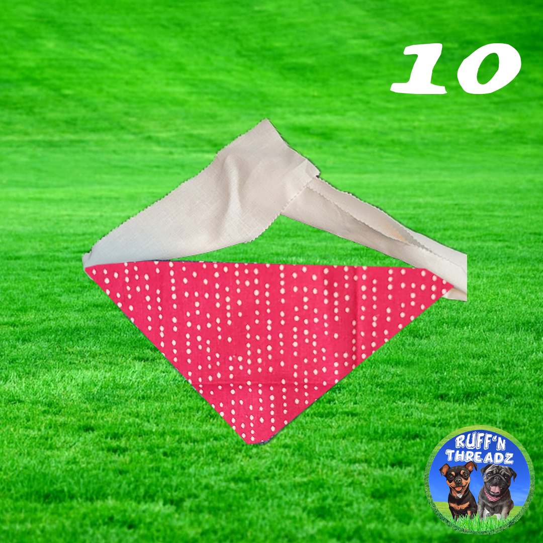 ZoeBear Bandana Collection - 10% Donated to Animal Shelter - Collection 1