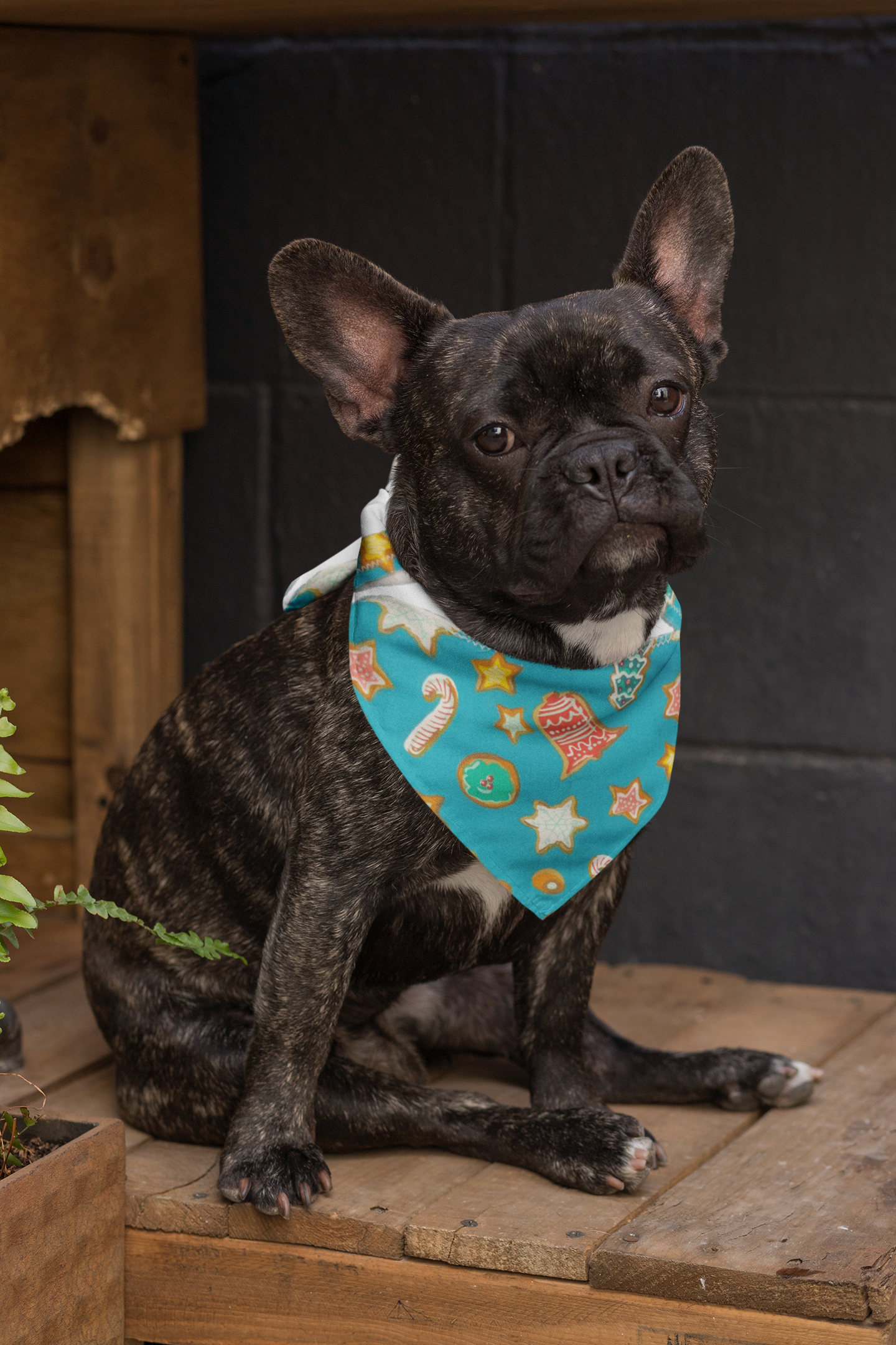 Holiday Dog/Animal Bandana #001