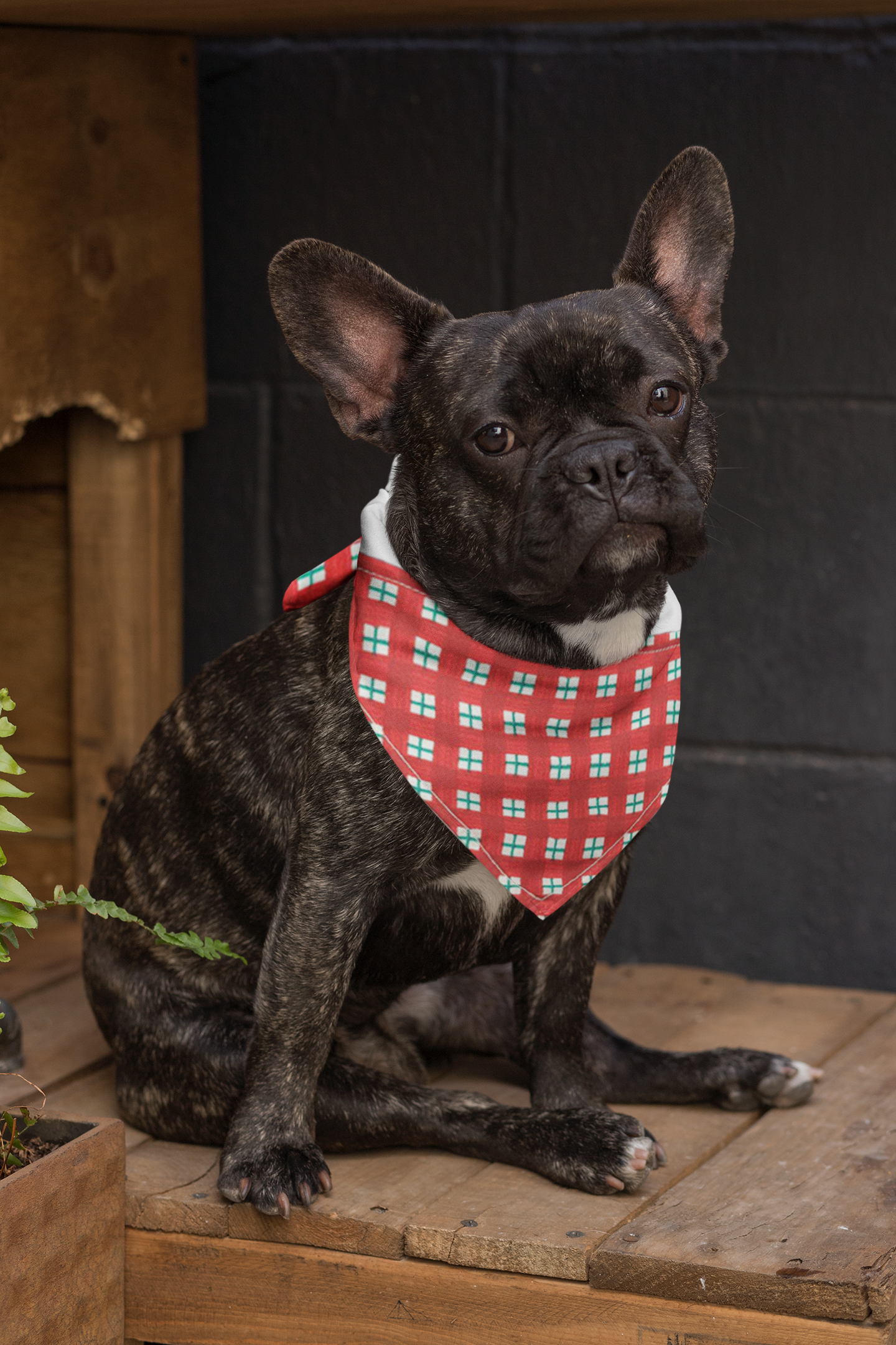 Holiday Dog/Animal Bandana #002